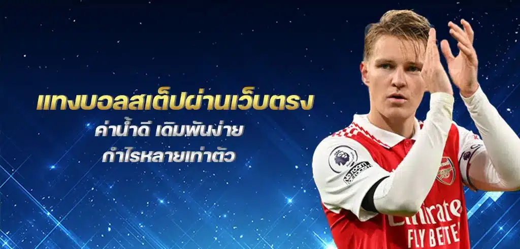 วิธีใช้งานระบบ สมัคร UFA VISION